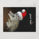 Search for husky christmas cards Merry