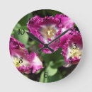 Recherche de fleurs de tulipes horloges Photographie