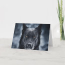 Search for black german shepherd cards Dog
