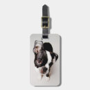 Search for boston terrier luggage tags Pets