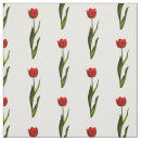 Search for green pattern photography Nature