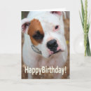 Recherche de boxeurs vœux cartes Chien