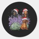 Search for dachshund christmas stickers Wiener dog