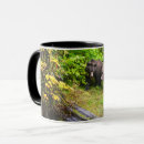 Search for brown bear cub mugs Wildlife