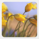 Recherche de marion autocollants Personne