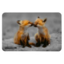 Recherche de renard de bébé magnets Renards