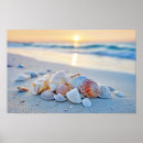 Recherche de corail turquoise posters Récif