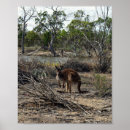 Recherche de kangaroo posters Australien