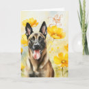 Search for poppy thank you cards Gratitude