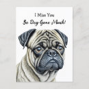 Search for dog gone Missing you