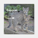 Recherche de chats drôles magnets Chatons