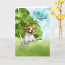Search for jack russell dog cards Pets