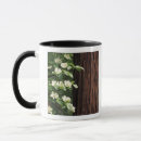 Search for dogwood tree mugs Flora