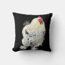 Search for cockerel pillows Colourful