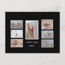 Recherche de madera cartes postales Oiseaux