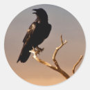 Search for bare tree stickers Colour image