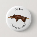 Search for roasts buttons Pig
