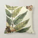 Recherche de insectes coussins Papillons