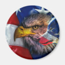 Recherche de tête de loup magnets Aigle à tête blanche