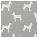 Recherche de basenjis Dog
