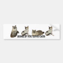 Search for white tiger bumper stickers Feline