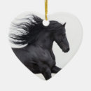 Search for black horse ornaments Frisian