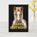 Search for equines cards Cute