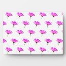 Search for daisies plaques Flower