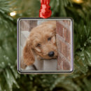 Search for mixed breed dog ornaments Pet