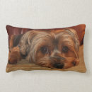 Search for yorkshire terrier pillows Cute