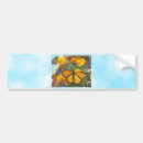 Search for monarch butterfly bumper stickers Insects