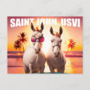 Recherche de âne drôle cartes postales Vacances