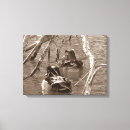 Search for ducks canvas prints Brown