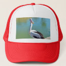 Search for pelican hats Bird