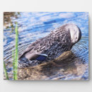 Recherche de effet plaques Nature