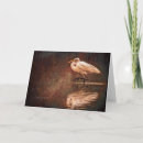 Search for great white egret cards Nature