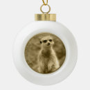Search for coin ornaments Currency
