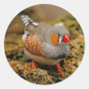 Recherche de finition autocollants Rouge