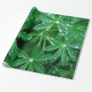 Search for raindrop wrapping paper Background