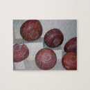 Search for pottery puzzles Gallo roman