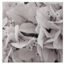 Recherche de sensible photographie Floral