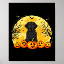 Search for halloween posters Jack o lantern
