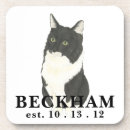 Search for cat barware Black and white