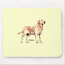 Search for sporting dog electronics Puppy