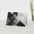Search for cat graduation cards School