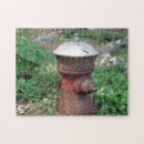 Search for fire hydrant Nature