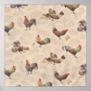 Search for french rooster posters Country