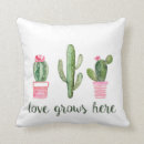 Recherche de cactus coussins Verdure