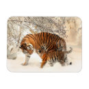 Search for novelty cards Animals