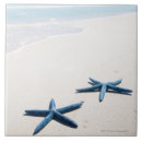 Search for tropical tiles Mexico